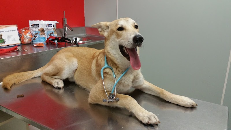 Hospital Clínico Veterinario Ultramar Urgencias 24h