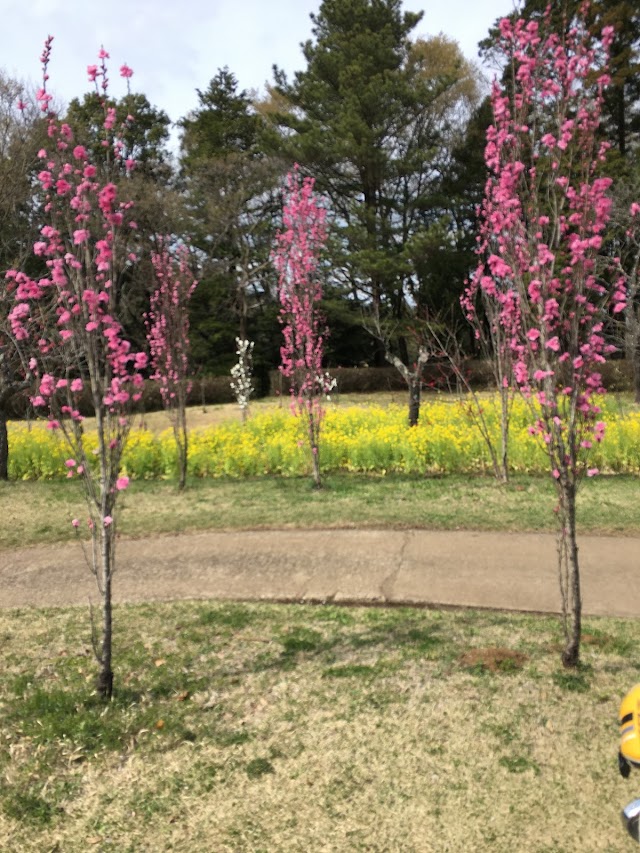 Funabashi Country Club - Photo 10