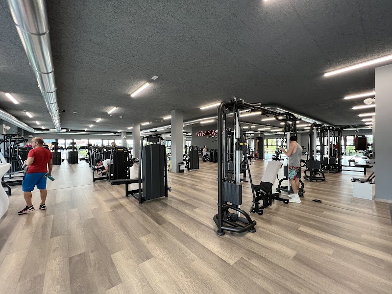 Gymnasium Verona