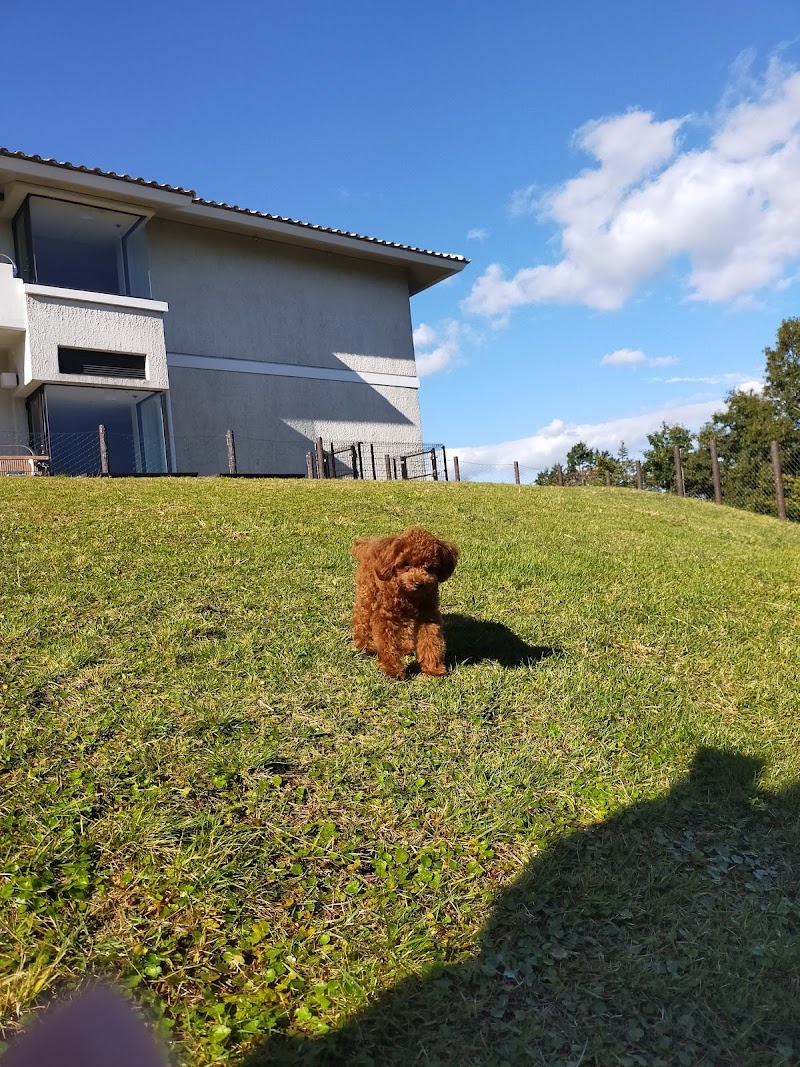 伊豆マリオットホテル修善寺の写真