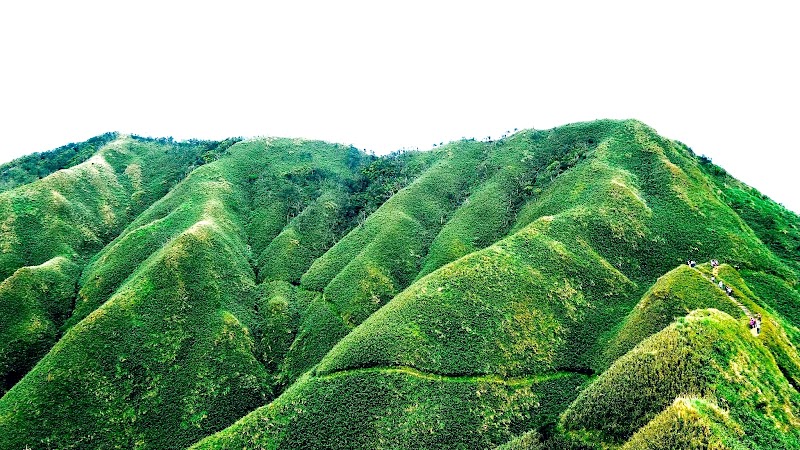 Abel Land Cafe photo 3