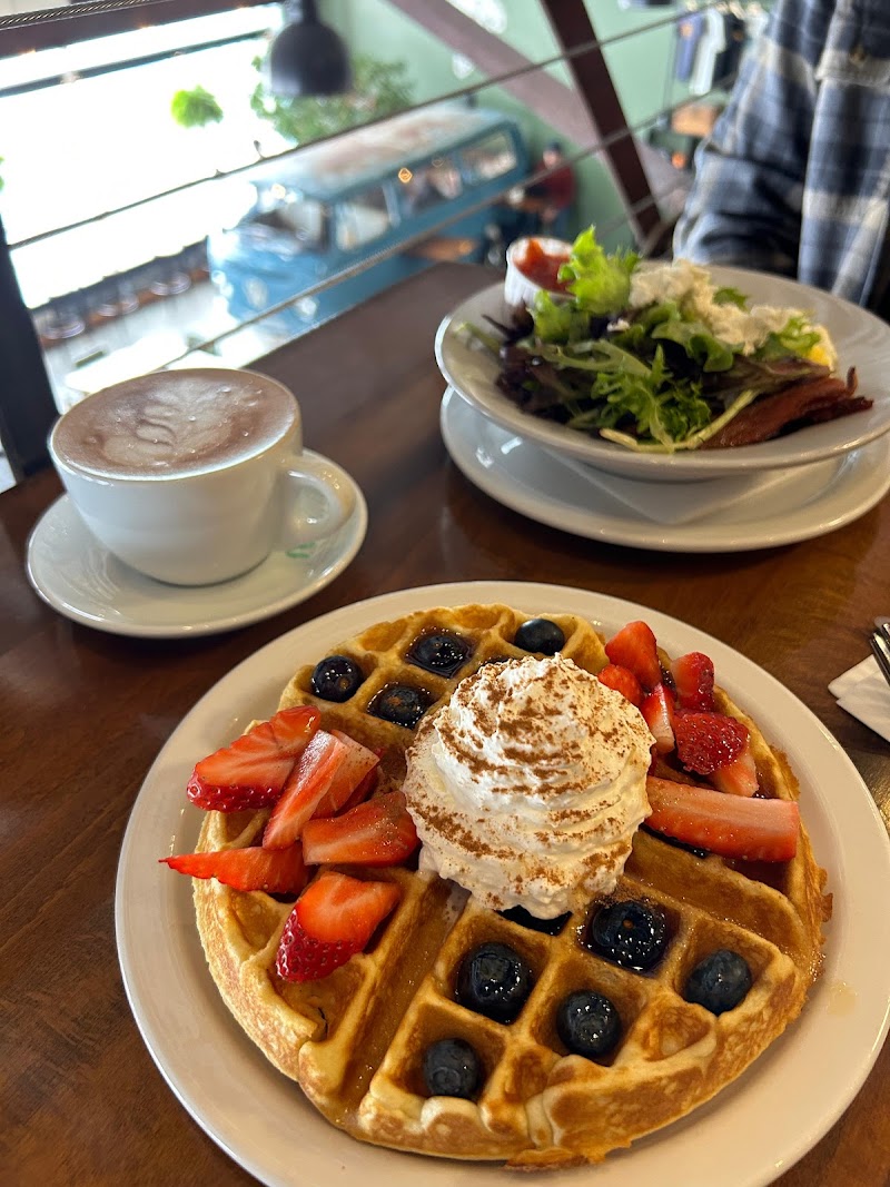 Harriet & Oak photo 3