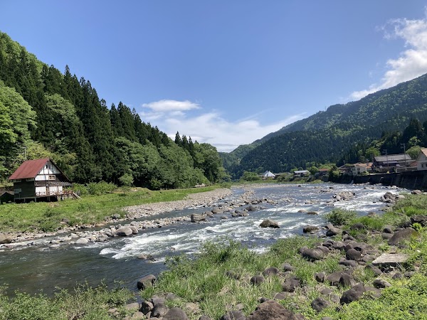 Secret Cherry Blossom Spots in Korea and Japan 7