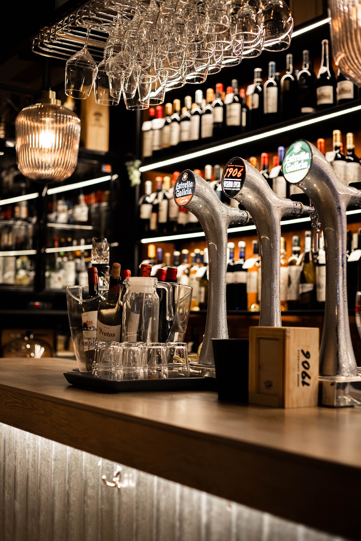 Gastro Bar Tulip�n