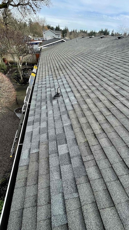 Bliss Roofing photo 5