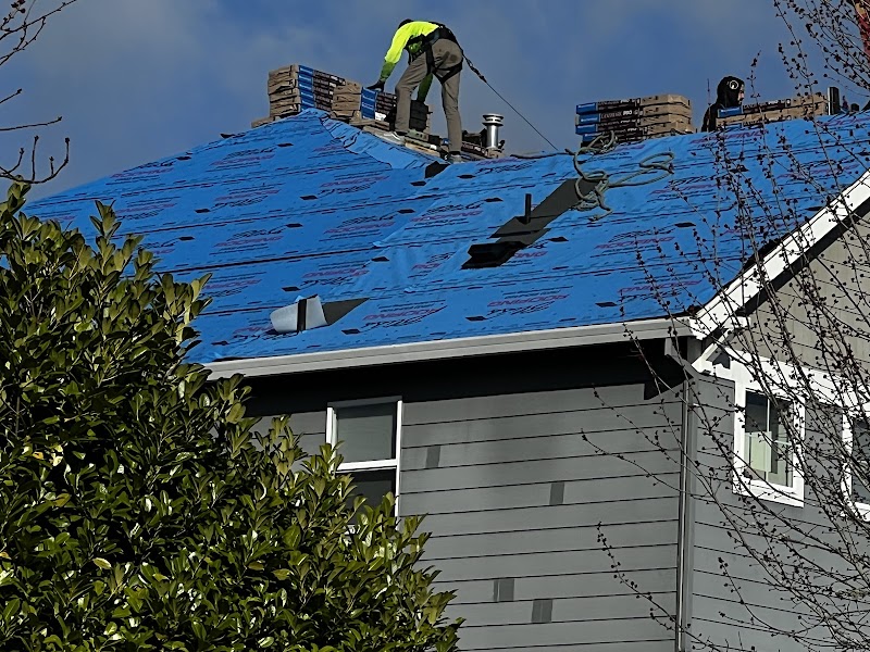 Bliss Roofing photo 2