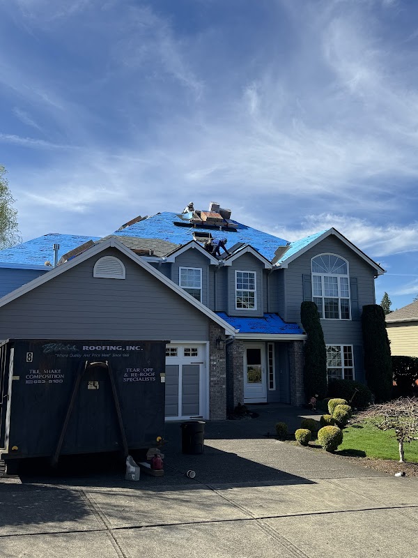 Bliss Roofing photo 3