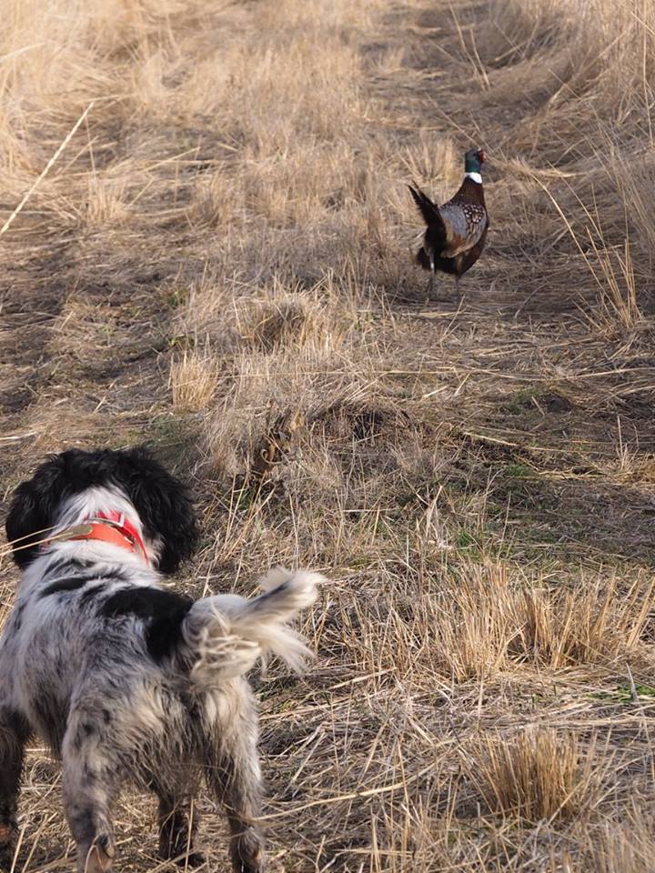 Ruggs Ranch - Photo 2