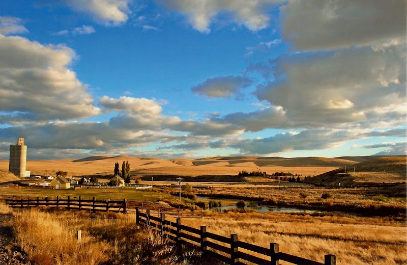 Ruggs Ranch - Photo 1