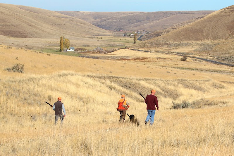Ruggs Ranch - Photo 4