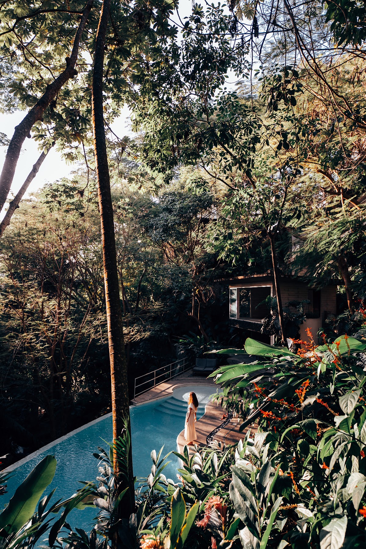 Transform Retreat: a 30-day mental health retreat — 4