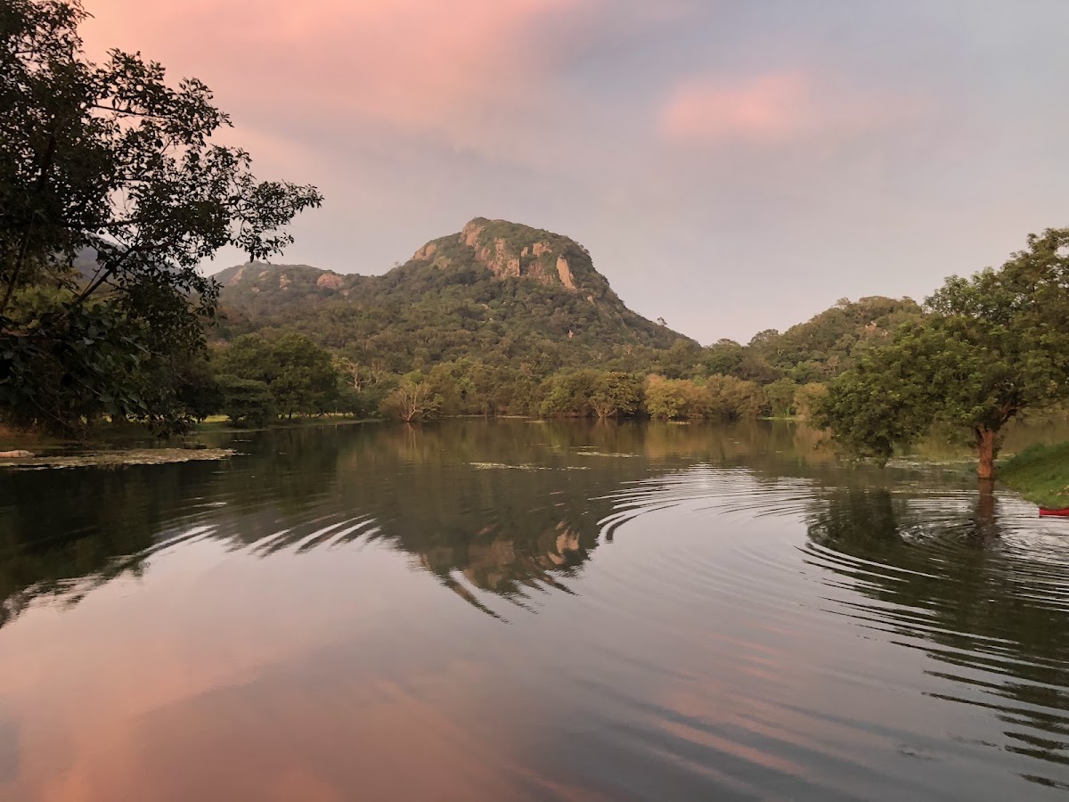 Ulpotha Yoga & Ayurveda Retreat — 4