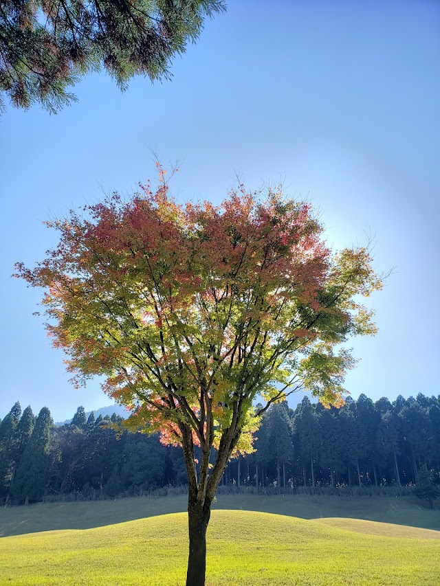 Miyazaki Kobayashi Country Club - Photo 6