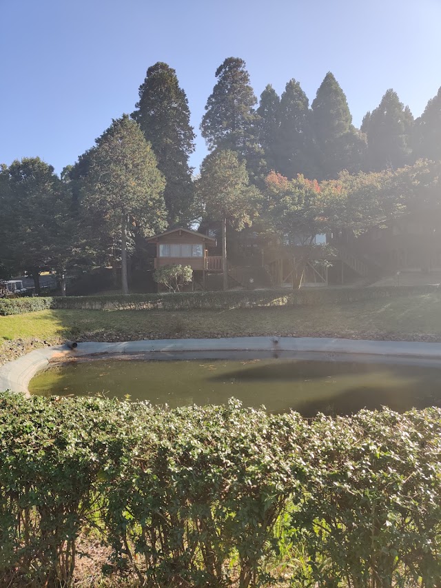 Miyazaki Kobayashi Country Club - Photo 10