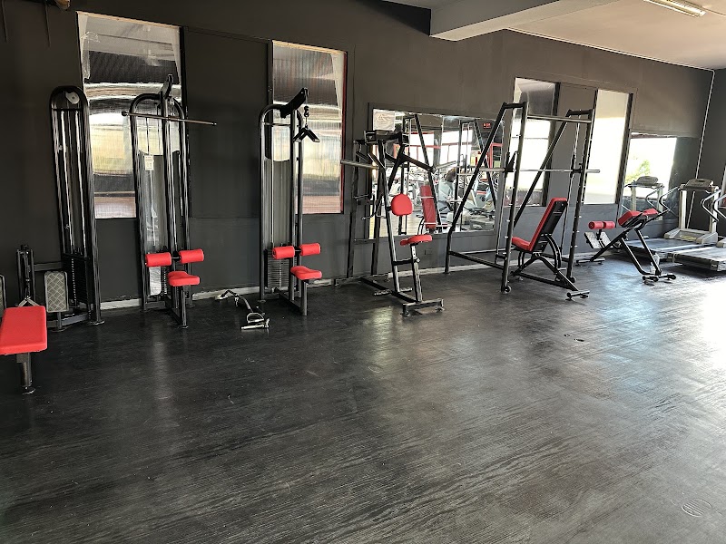 Palestra Olympia