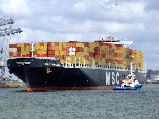 MSC Saudi - Mediterranean Shipping Company Saudi