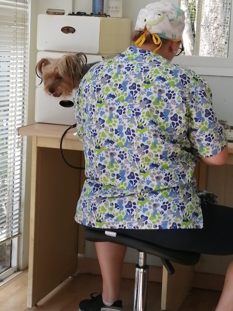 Clínica Veterinaria Guadacorte