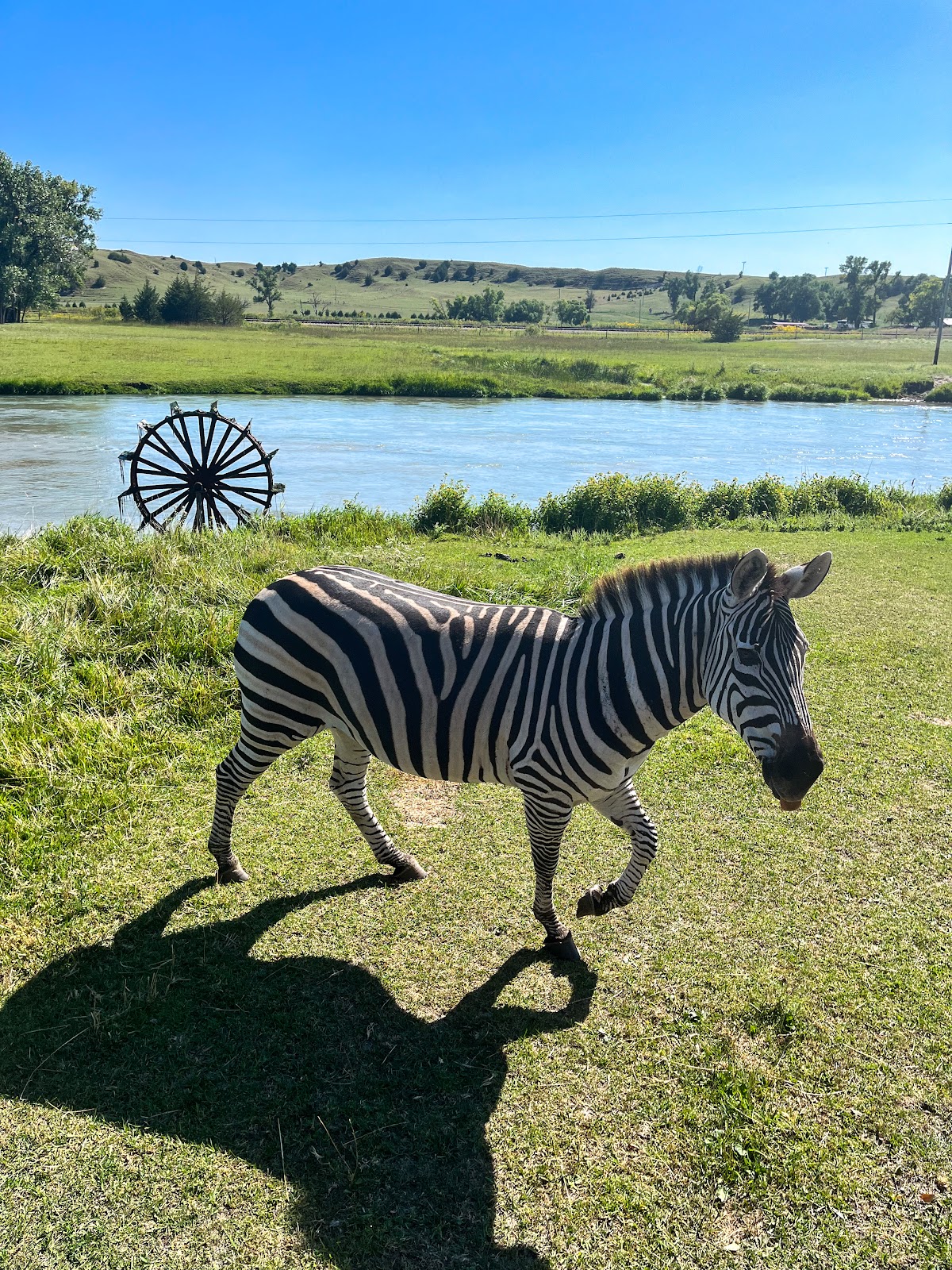 Stable Productions Ranch