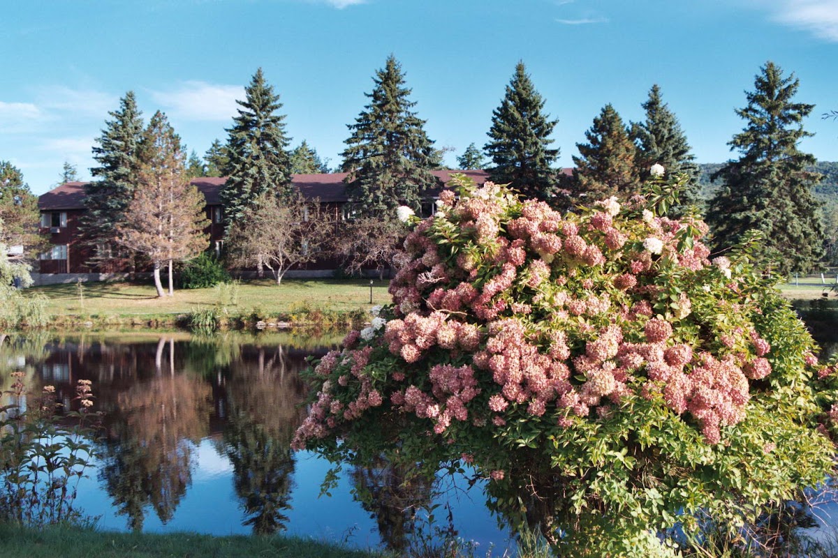 Peace Village Learning & Retreat Center — 3
