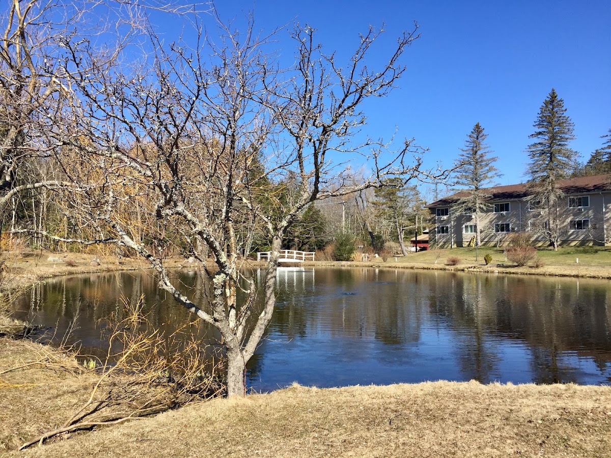 Peace Village Learning & Retreat Center — 4