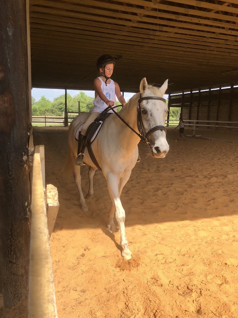 Singing River Ranch - Photo 2