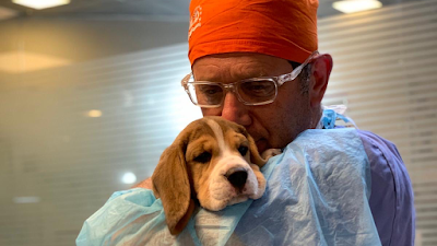 מרפאה וטרינרית דר' שרון רגב