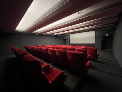 Cinema Plinius