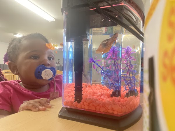 Photo by Talk Childcare 2 Me