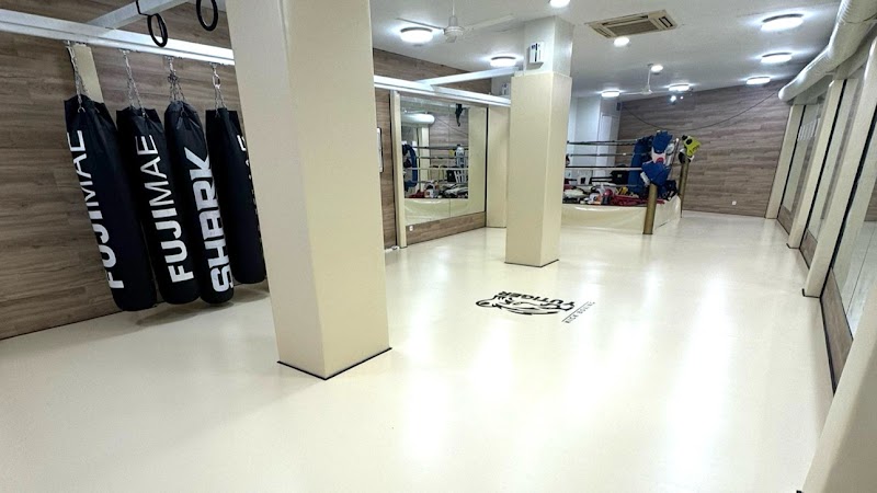 Kick Boxing Madrid
