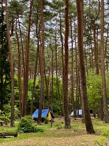 都南つどいの森 第一キャンプ場