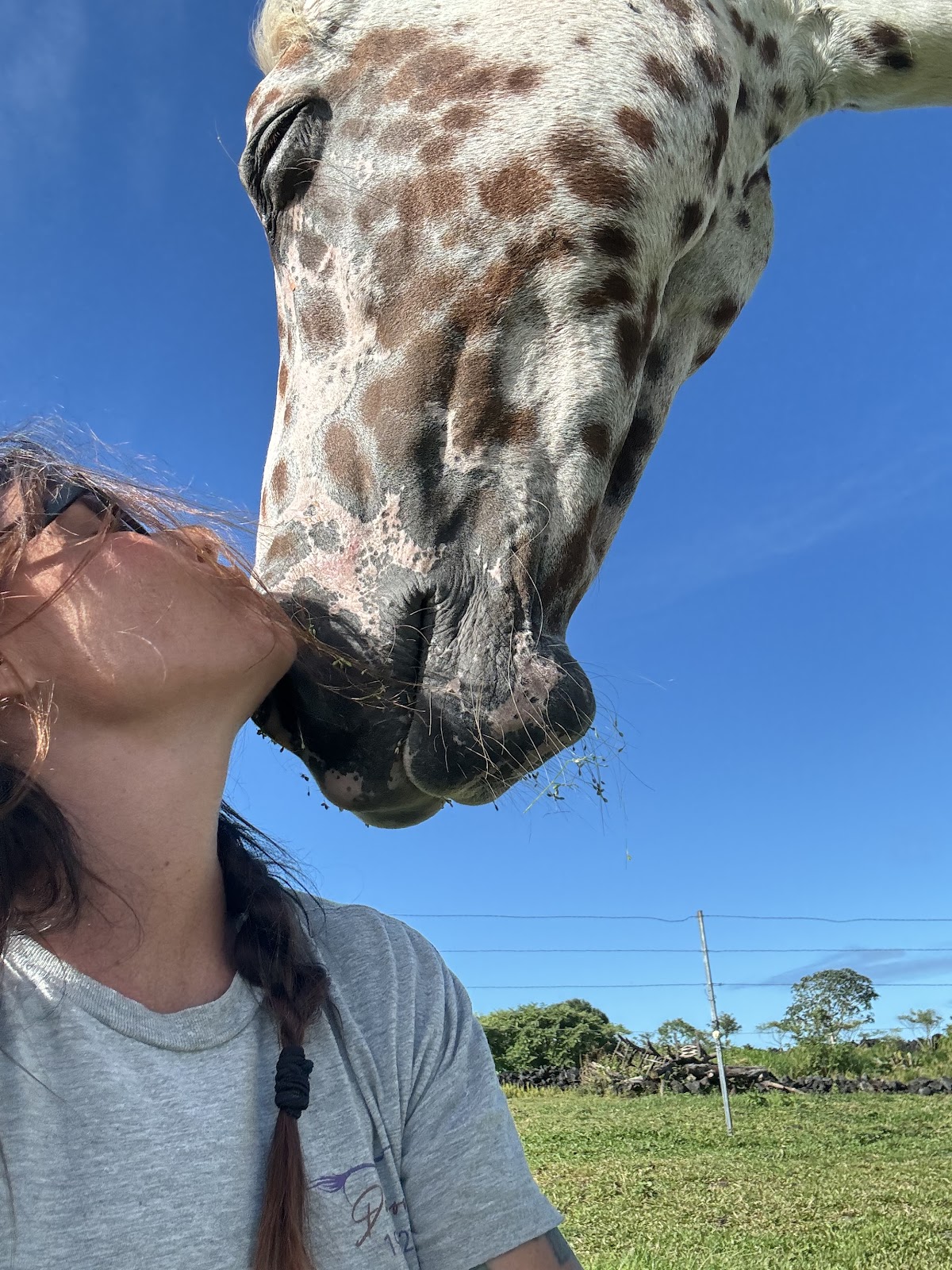 Beyond the Gaits Retreat — 3