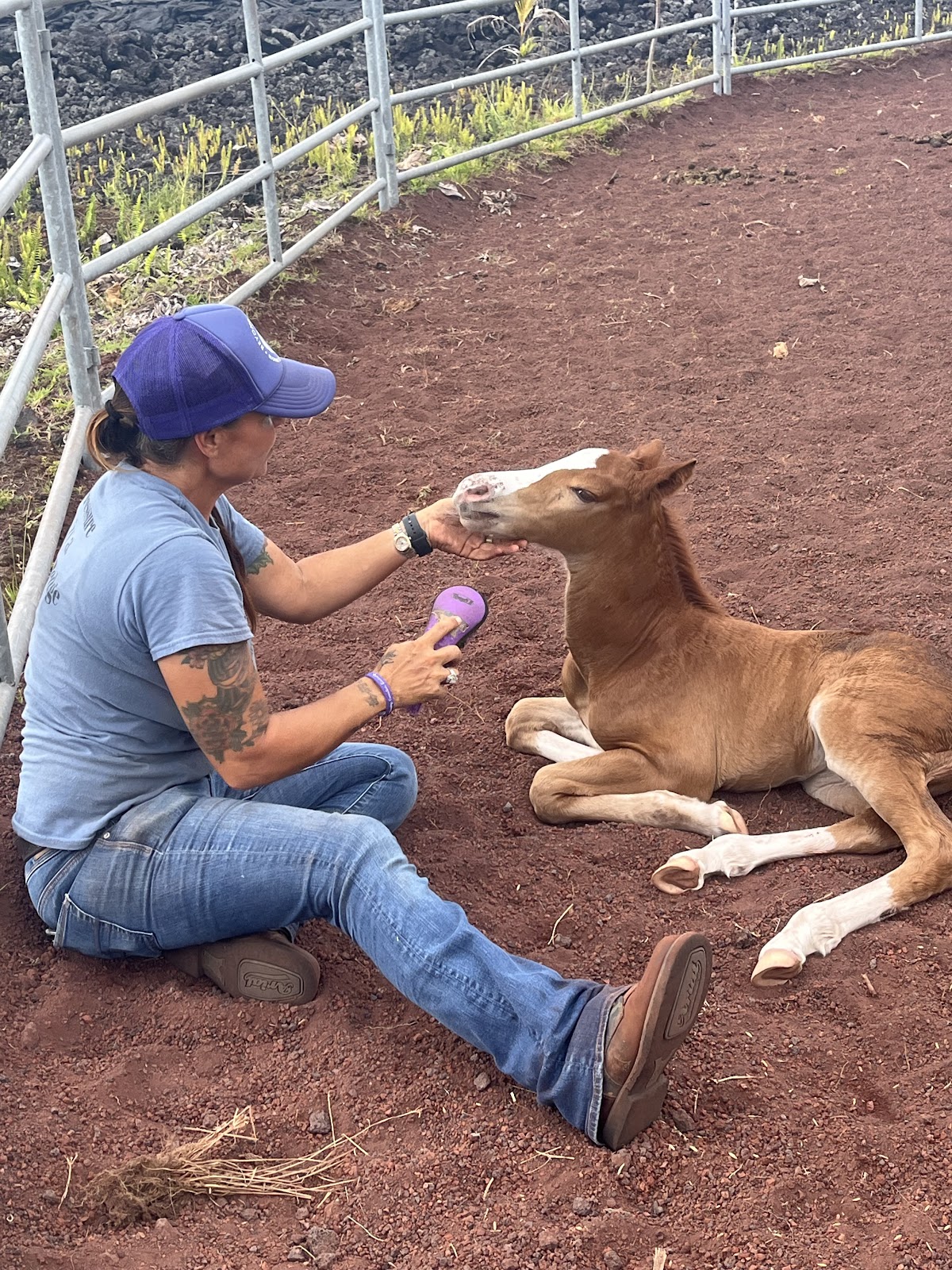 Beyond the Gaits Retreat — 4