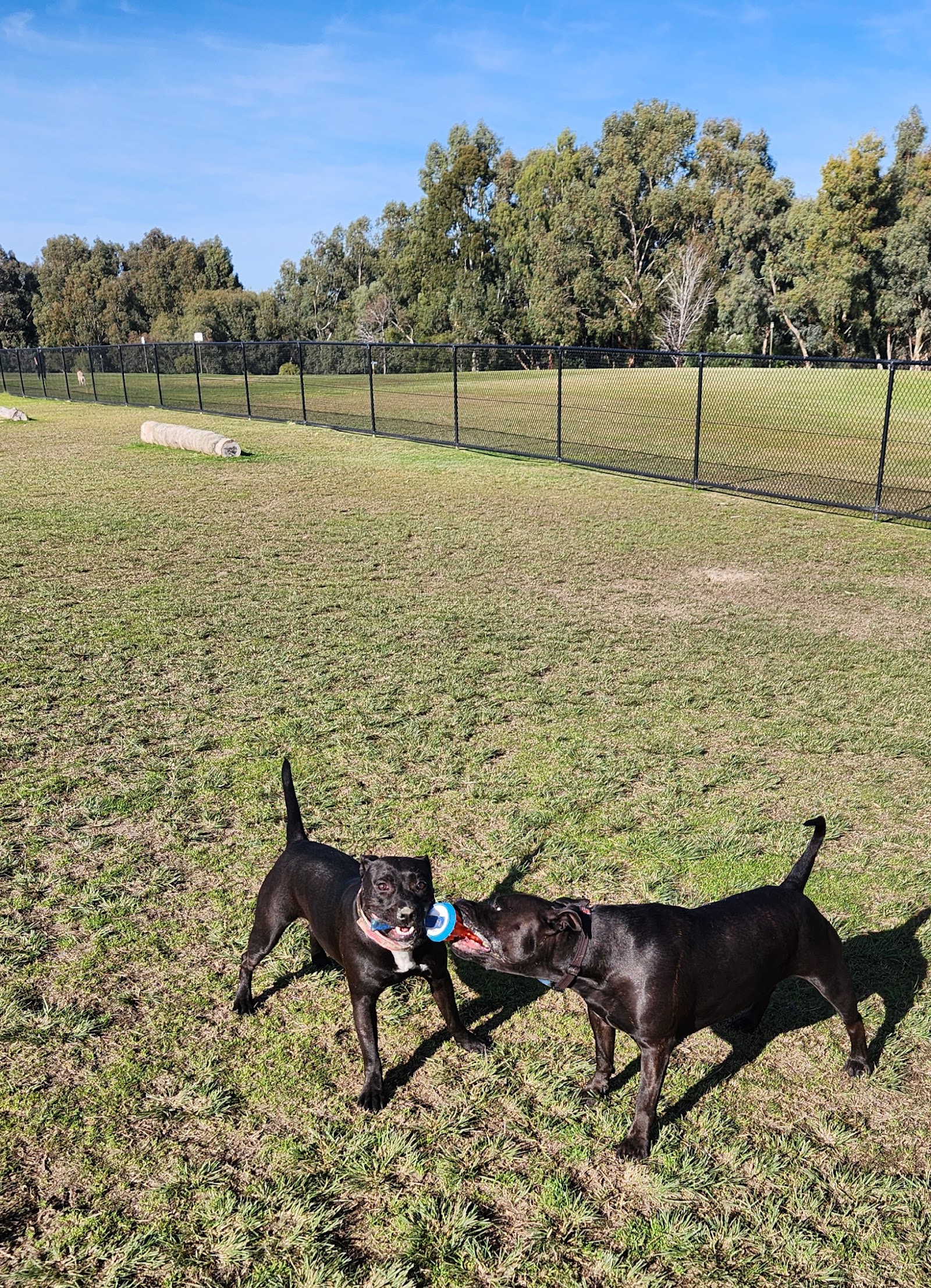 Riverside Gardens Dog Exercise Area