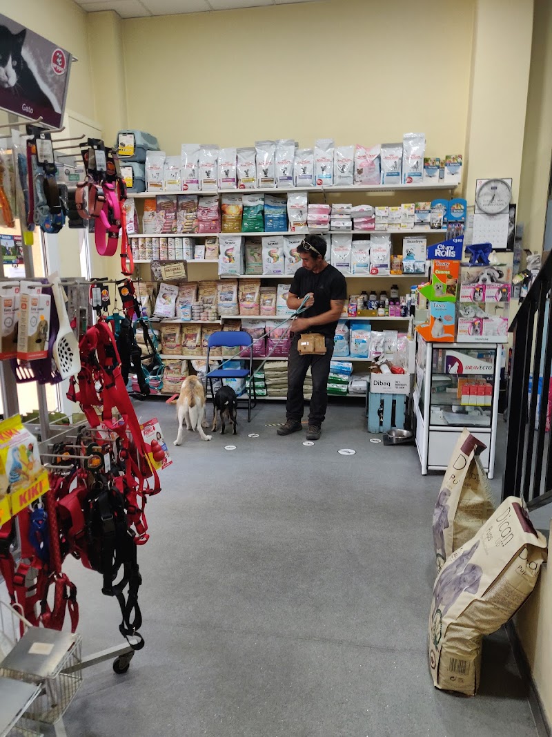 Centro Veterinario Sangüesa