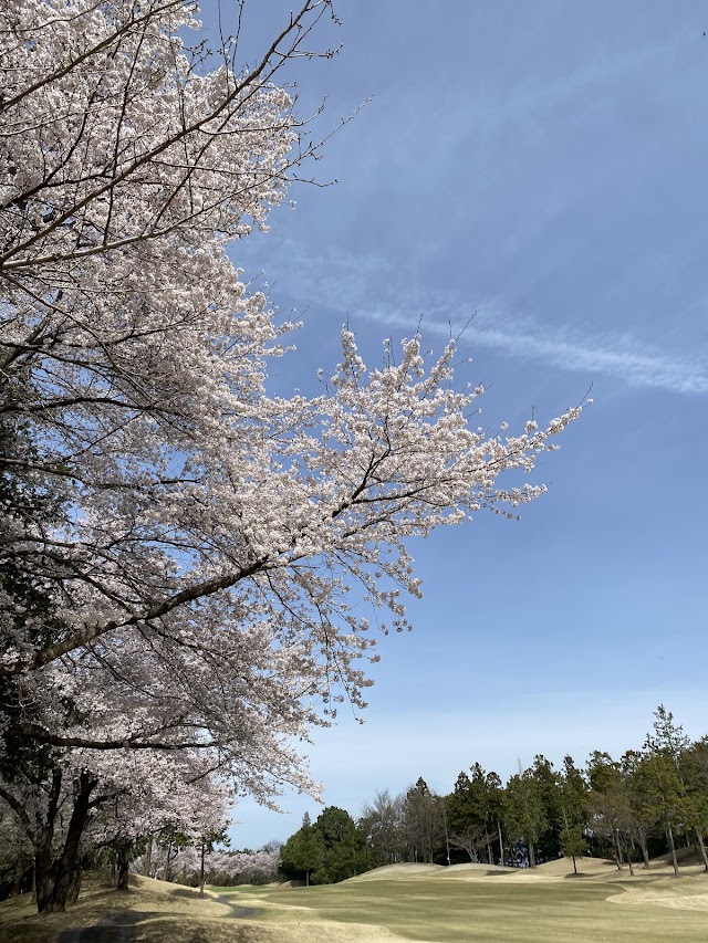 Obata-go Golf Club - Photo 4
