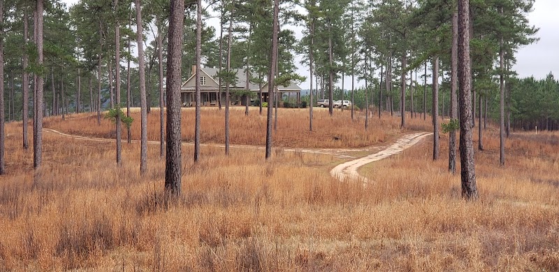 Pine Ridge of Alabama - Photo 3