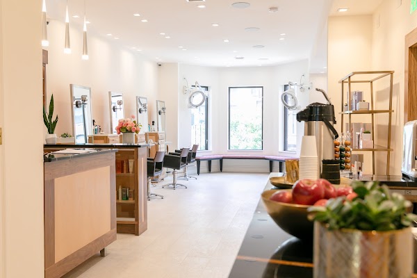 Alexander Safar Salon portfolio