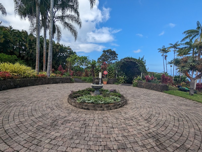 Mauka Meadows Coffee Farm photo 2