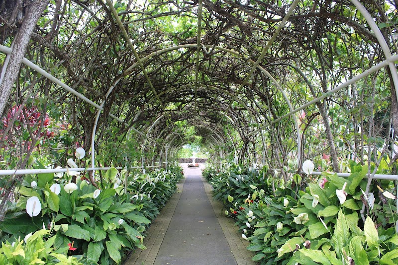 Mauka Meadows Coffee Farm photo 2
