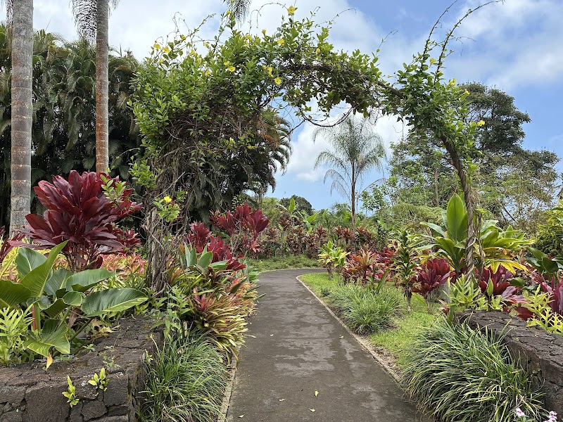 Mauka Meadows Coffee Farm photo 2