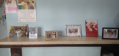 Foto 7
