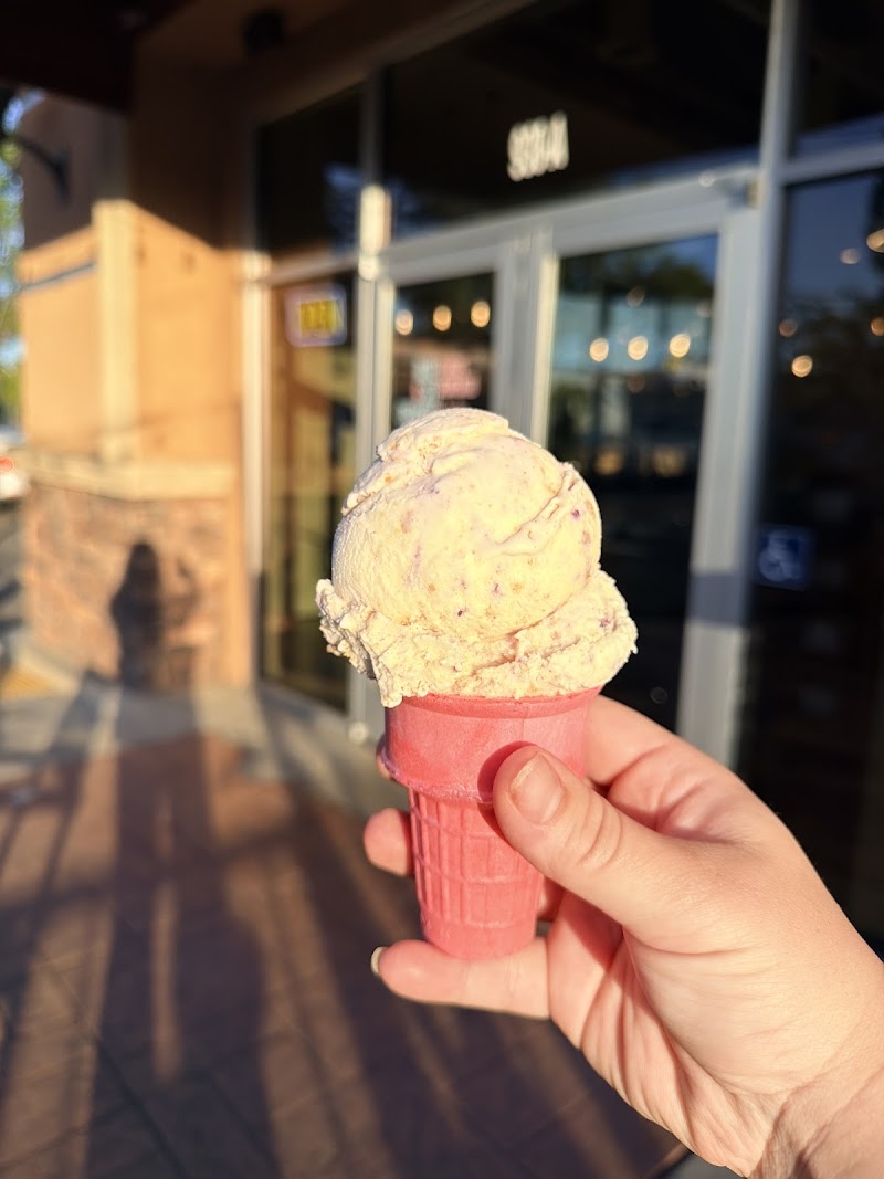 Taste & See Creamery photo 3
