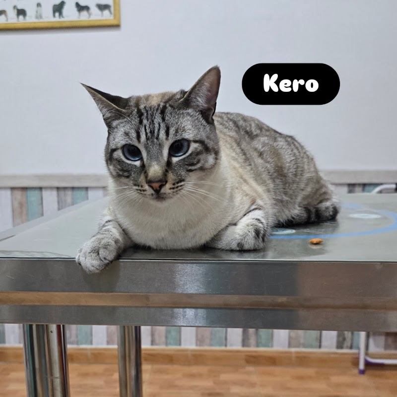 Centro Veterinario Luvet