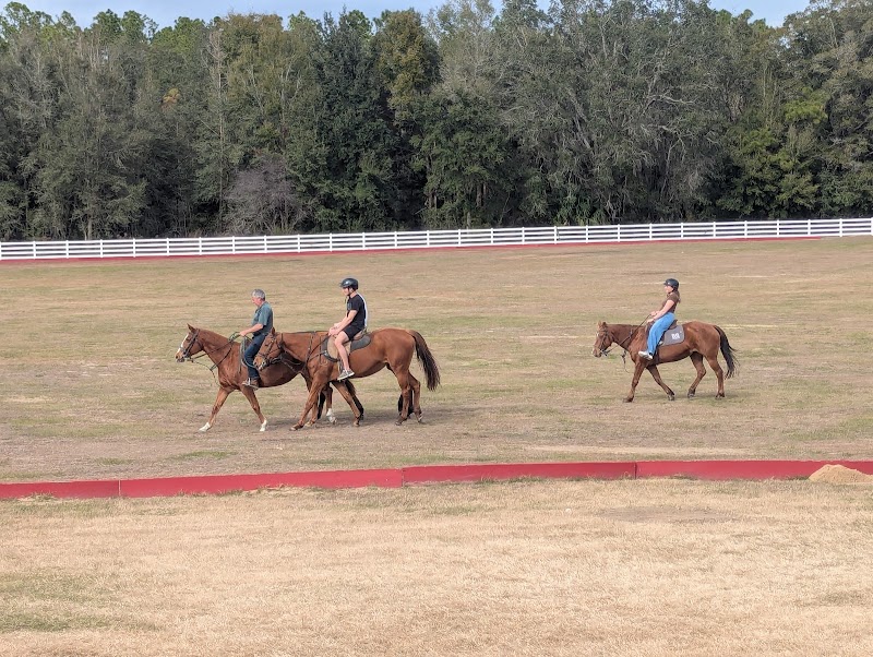 BG Ocala Ranch - Photo 2