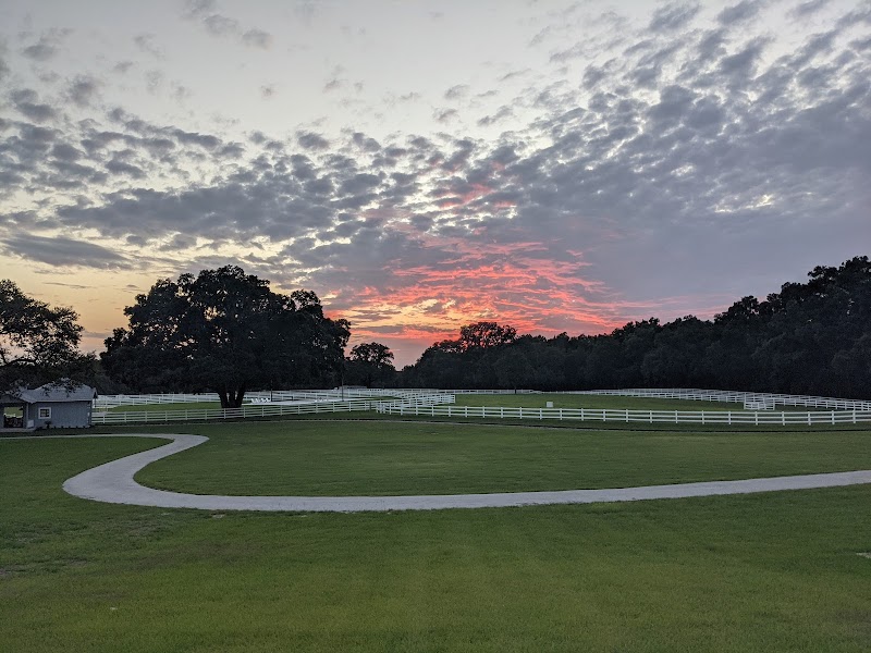 BG Ocala Ranch - Photo 1
