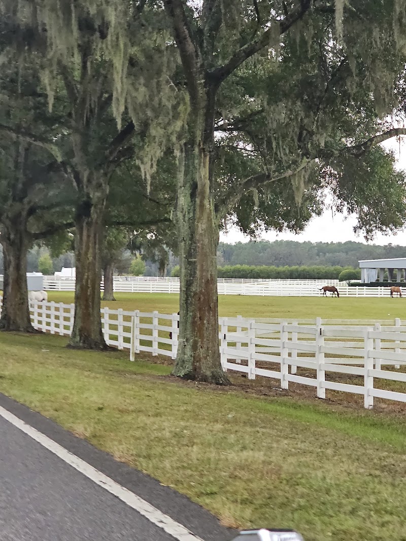 BG Ocala Ranch - Photo 6