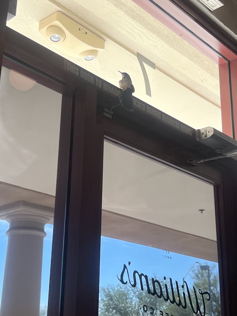 William's Coffee Co photo 1