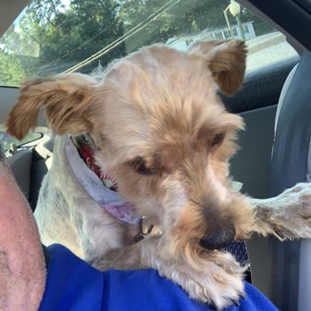 House of Pets Grooming