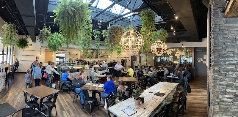 New Holland Coffee Company photo 1