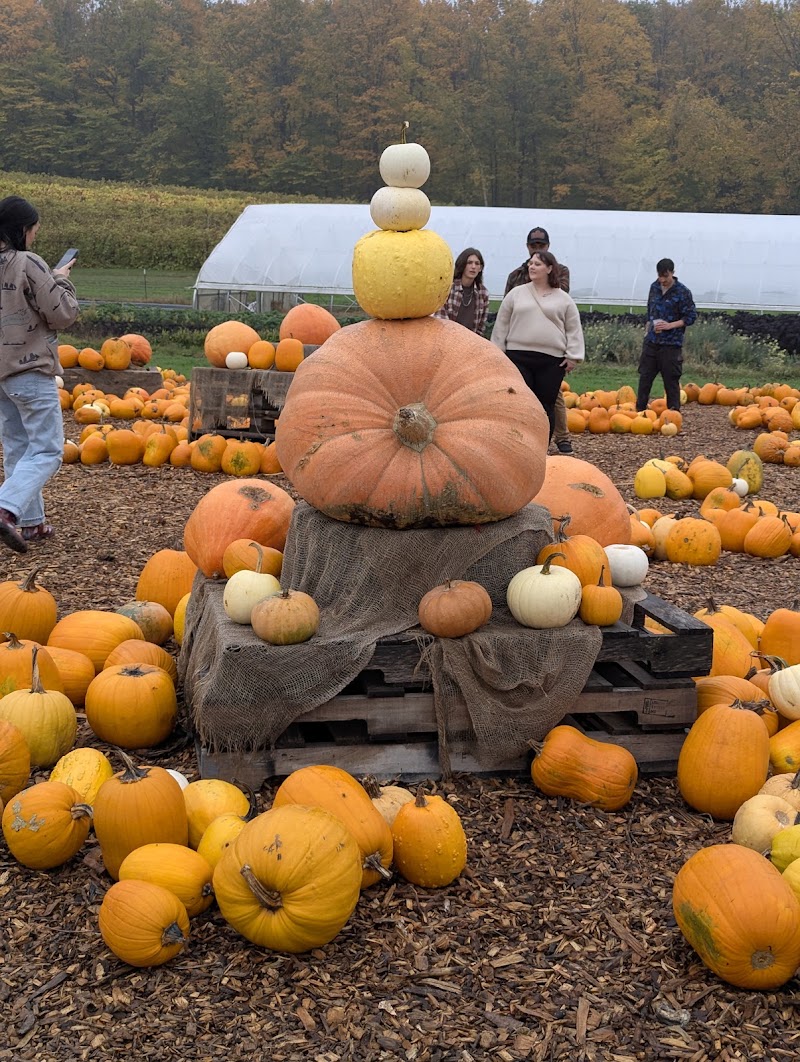 Pond Hill Farm photo 4